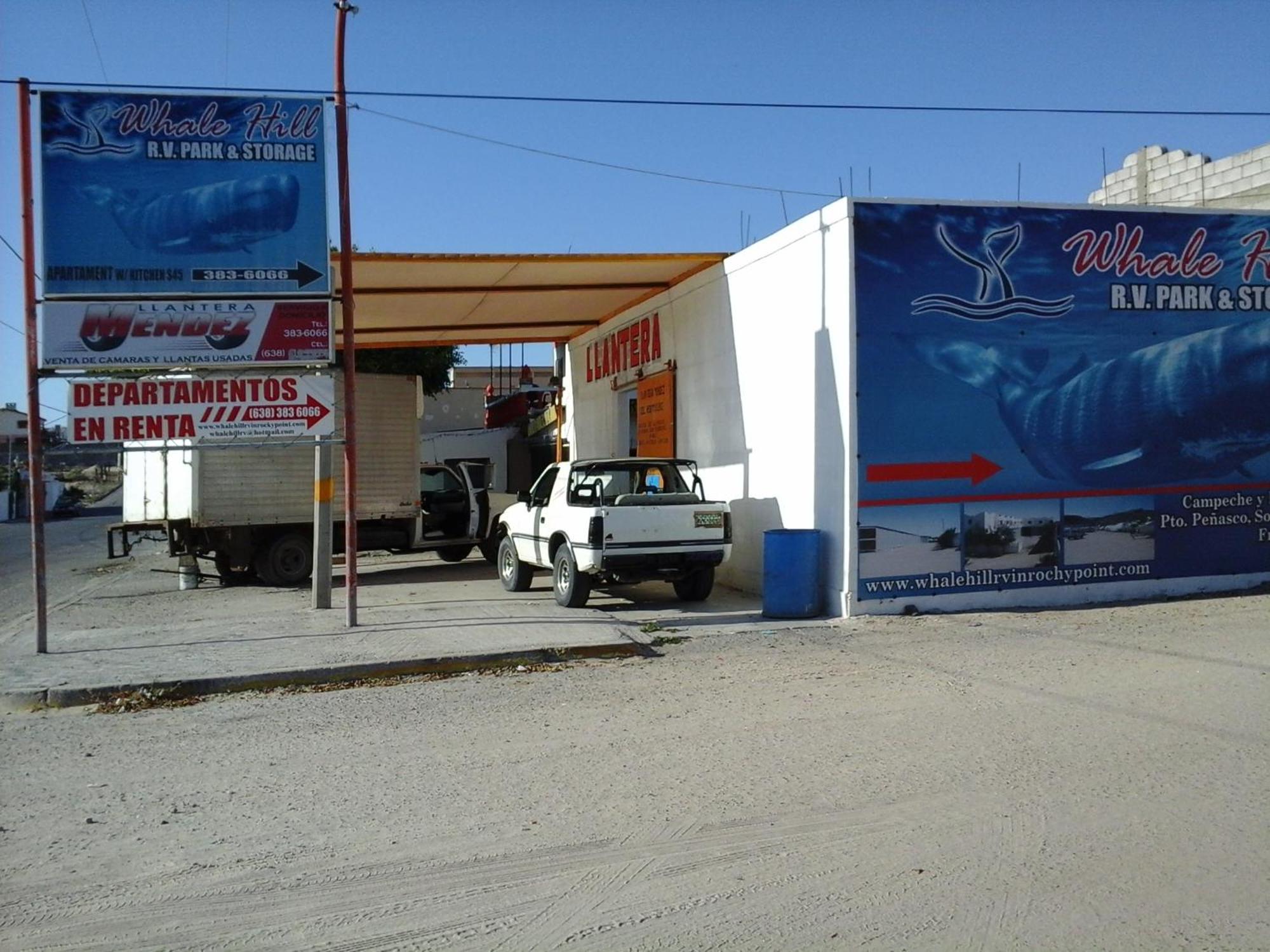 Whale Hill Aparthotel Puerto Penasco Bilik gambar