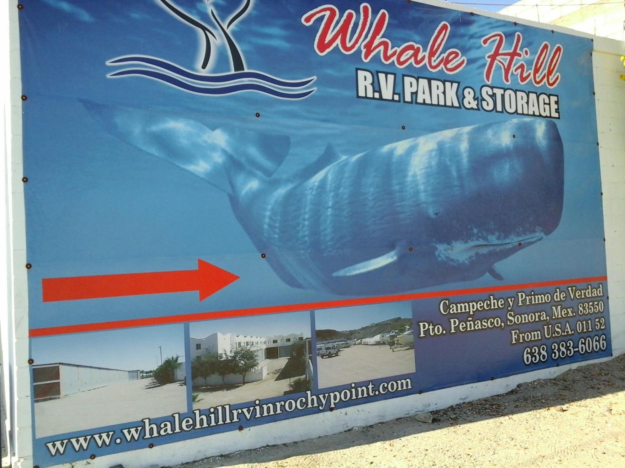 Whale Hill Aparthotel Puerto Penasco Bilik gambar