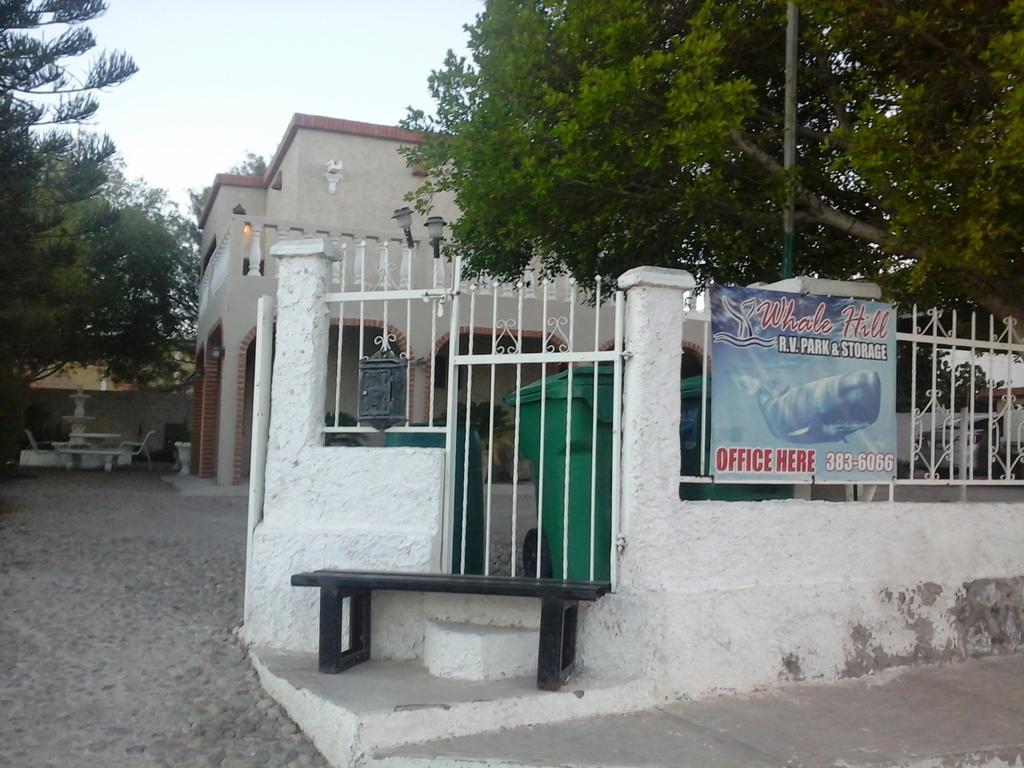 Whale Hill Aparthotel Puerto Penasco Bilik gambar